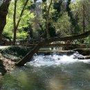 대파순대국 이미지