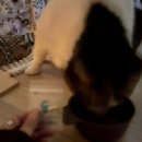 피자써클 | [생정] 다크써클 가리는 법