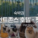 스테이펫_호텔 네이버블로그