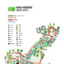 양평숲 비룡캠프장 이미지