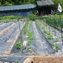 월비농장 이미지