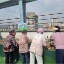 경기도 수원시 팔달구 수원천로210번길 37 (인계동) | 인계동주간보호센터에서 경험하는 어르신들의 행복하고 건강한 일상 이야기