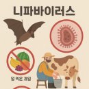 바이러스
