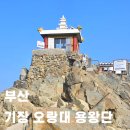 오랑대 | 부산 기장 해광사 오랑대 뚜벅이 여행 바다 사찰 겨울 데이트 방문 후기