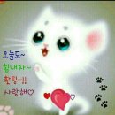 태평전통시장 이미지