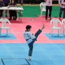 엘리트태권도장 이미지