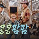 '콩콩팜팜' 벌써 시즌4, 6개월 만에 또 돌아온 나영석 예능 인기 비결