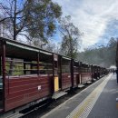 동물원 화장실 | 호주 멜버른 퍼핑빌리 마루동물원 필립아일랜드 조이투어 솔직 후기