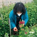 송암2리 이미지