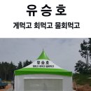 놀스타일 이미지