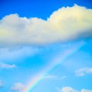 오태식 해바라기치킨 이미지