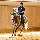 블루홀스 승마센터 이미지