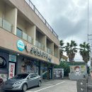 도두궁중오메기 | 제주│궁중오메기떡 도두점 비행기 포장 초간단 후기