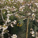 협성숲속의작은도서관 | 아이랑 가기 좋은 진주 체험 프로그램, 월아산 숲속의 진주 다녀온 후기 (진주 아이와 가볼만한곳)