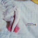 남매농장 이미지