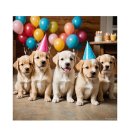 비비퍼피 강아지분양 일산점 이미지