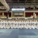 내체력 태권도장 이미지