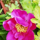 (주)영원 이미지