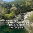 산청 동의보감촌 한방자연휴양림 숲속의 집 후기 - 아이랑 가볼만한 곳