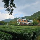 장군차산들농원농업회사법인(주) | [김해대동면 힐링카페] 장군차 산들농원/♡아들과 함께♡/차&디저트 굿!(솔직후기)