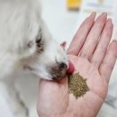 범서한방동물약국 이미지