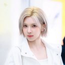 배이