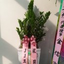 JJ모터스 2호점 네이버블로그