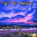 부산 근육 장애인협회 2019년8월31일 양산 통도 환타지아 여름캥프 이모저모사진 이미지