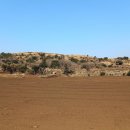 장자목장 이미지