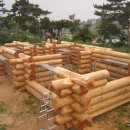 원삼-6 Daum카페