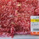 원골힐링캠프 이미지