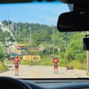 알펜시아 스포츠파크 크로스컨트리 경기장 | [평창] 알펜시아 홀리데이인리조트 호텔 솔직후기(부대시설편 : 알파인코스터, 루지, 스키점프타워...