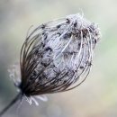 회귀(回歸) 이미지