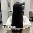 중앙동323 | 안산 중앙동 미용실 기장 추가 요금 없는 이끌린 헤어 손상모 클리닉 후기