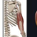 석세스짐 아주대점 이미지