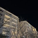 경주 마우나 오션 리조트 B동 1박 후기 눈썰매장도 있어요