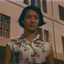 한국사료주식회사 이미지