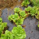 (주)휴먼콘트롤즈 이미지