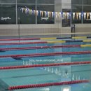 강서정비센터㈜ | 원정수영 - 강서구민 올림픽 체육센터 수영장