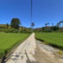 란트루헤 이미지