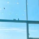 키즈비 | 환상적인 넓은 풀! 인천키즈펜션 키즈비 다녀온 후기~