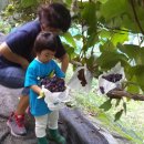 석호농원 이미지