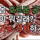 우리몸의 호르몬 공장 부신이 뭐길래? 부신기능 강화하기!-시니어일상톡톡 이미지