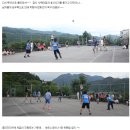 중앙애견 이미지