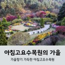 제224차 아침고요수목원, 남이섬, 소금강으로 떠나는 가을여행으로 초대합니다.(11월2일, 토요일 ~11월3일, 일요일) 이미지