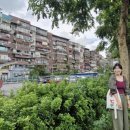 작가와 함께하는 서 이미지