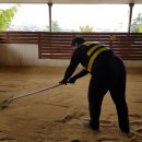 충주남산유치원 | ::모래소독::키제코::/충주남산유치원 모래소독 : 3544번째 후기