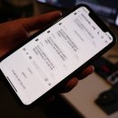 본 동물의료센터 이미지