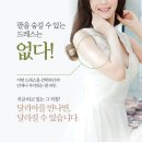 달리아 - 동구 | 달리아