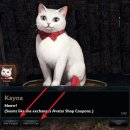 이너헤어 이미지